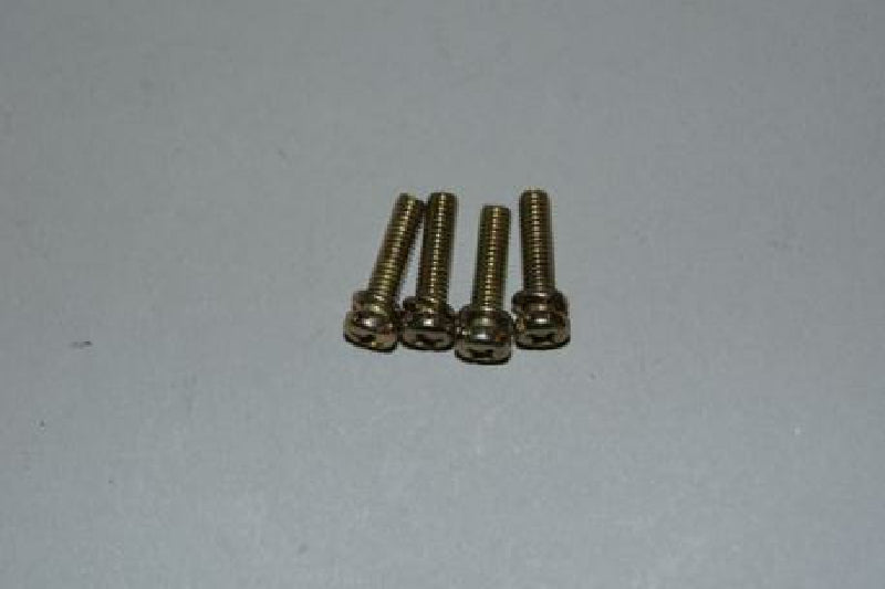 Schrauben für Schwimmerkammer, 80cc Vergaser, 4 Stk.