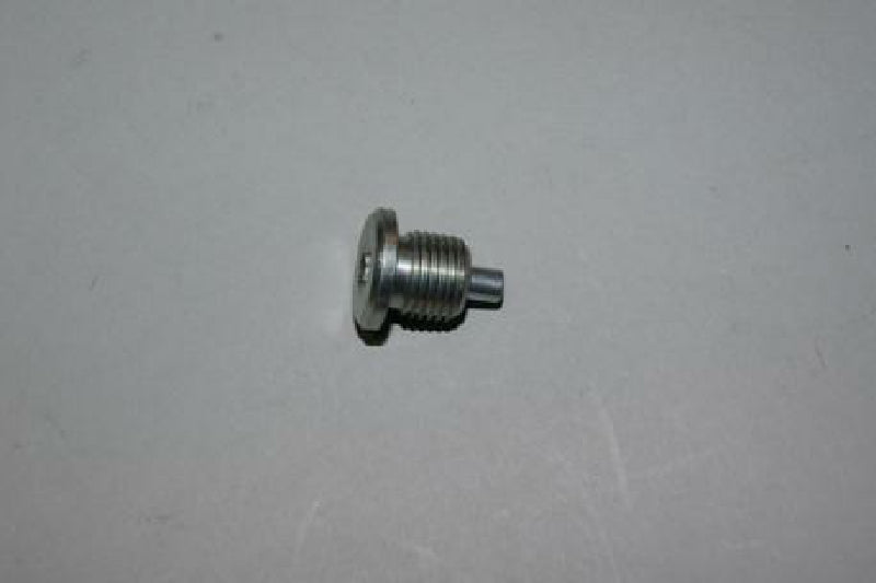 Bottom screw with magnet GM